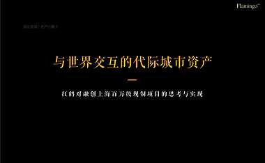 红鹤沟通-上海融创百万方唐镇代际城市资产推广方案【pdf】