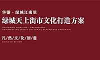 2021天上街市文化打造方案【pdf】