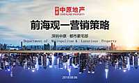 中原深圳前海观营销策略方案【pdf】