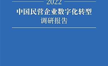 2022中国民营企业数字化转型调研报告-腾讯研究院-2022.7-65页【pdf】