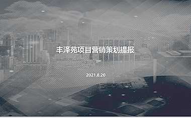 2021丰泽苑营销策划提报方案【pptx】