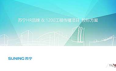 苏宁地产品牌传播项目投标方案【pdf】