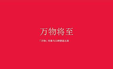 南京海玥万物塑造推广方案-豪宅w【pdf】