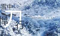 2022综合体项目推广提报方案【pdf】