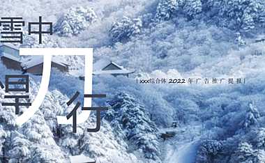 2022综合体项目推广提报方案【pdf】