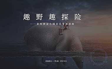 2021泉林黄金文旅大案【pdf】