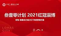 2021健康活力城年度营销策略方案【pdf】