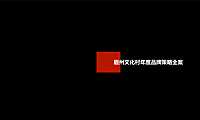 红鹤-万科眉州文化村年度品牌策略全案382p【pdf】