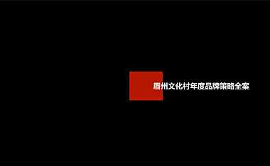 红鹤-万科眉州文化村年度品牌策略全案382p【pdf】