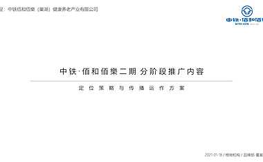 2021佰和佰樂二期整合推广方案【pdf】
