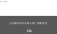 滁州万兴项目形象、推广策略方案【pdf】