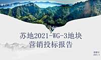 世联-2021港中旅东山项目营销策划方案【pdf】
