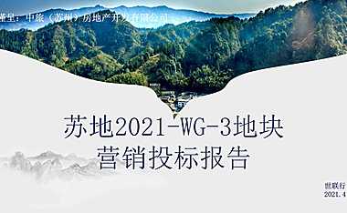 世联-2021港中旅东山项目营销策划方案【pdf】