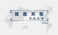 202008揽胜公园公寓营销报告.pdf