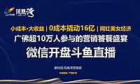 碧桂园三等奖-策略类-0成本撬动16亿 广佛超10万人参与的营销饕餮盛宴 .pdf