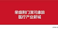 荣盛康旅荆门国际医疗产业新城【pdf】