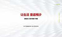 深圳碧桂园心海天誉策略方案122p【pdf】