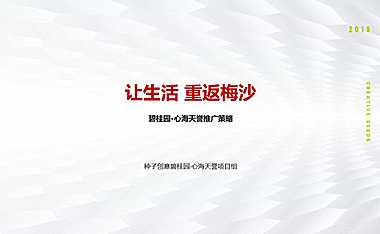 深圳碧桂园心海天誉策略方案122p【pdf】