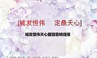 城发恒伟天心馥园营销提报【pdf】