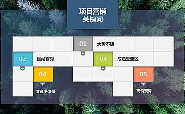 南京星河天赋营销拓盘报告【pdf】