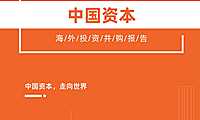 2022年中国资本海外投资并购报告-IT桔子-2022-50页