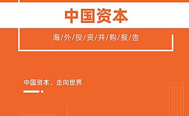 2022年中国资本海外投资并购报告-IT桔子-2022-50页