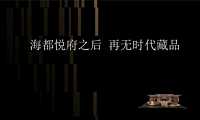 海都悦府-新亚洲别墅年度推广方案165p【pdf】