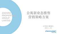 长沙正荣滨江紫阙台公寓策略方案【pdf】