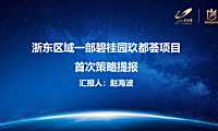20200715碧桂园玖都荟项目首次策略提报