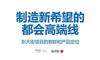 东大街豪宅项目推广提报方案【pdf】