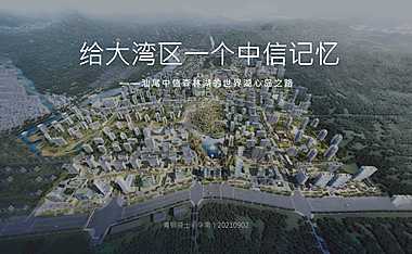 2021中信森林湖项目推广提报【pdf】