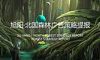 北京环京承德旭阳.北国森林项目推广方案129P【pdf】