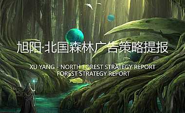 北京环京承德旭阳.北国森林项目推广方案129P【pdf】
