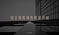 国金旭辉城售楼部开放（兴启·国金旭辉城主题）活动策划方案【pptx】