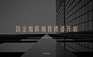 国金旭辉城售楼部开放（兴启·国金旭辉城主题）活动策划方案【pptx】