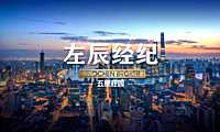 2022房地产全年推广策略方案【pdf】