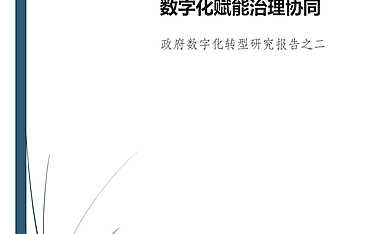 2022北京大学：“下一步行动”：  数字化赋能治理协同.pdf