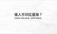 红星海整合传播推广方案【pdf】