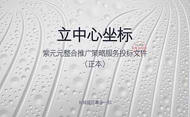 深圳紫元元整合策略推广策略案【pdf】