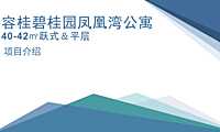 容桂碧桂园凤凰湾公寓项目介绍【pdf】