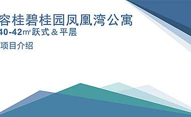 容桂碧桂园凤凰湾公寓项目介绍【pdf】