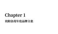 2022金茂品牌推广方案【pdf】