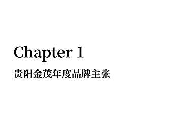 2022金茂品牌推广方案【pdf】