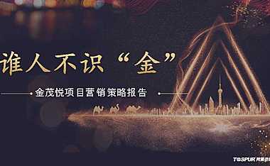 代理-上海同策.福州市金茂悦全年营销策略提报【pptx】