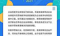 2021年tp100数字营销公司调研报告【pdf】