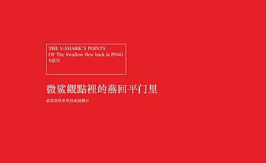 上海微鲨广告-苏州燕回平面里2020推广策略案