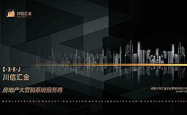 川信汇金公司简介【pdf】