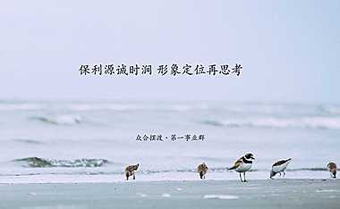 2020合众摆渡-保利源诚时涧整合推广案