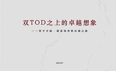 蔚蓝领秀IP出圈策略方案（TOD）121p【pdf】