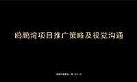 2021瞰江大平层提案方案【pdf】